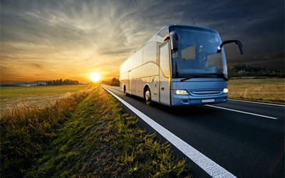 Limo Bus vs. Van Rental: Which Is Right for Your Group?